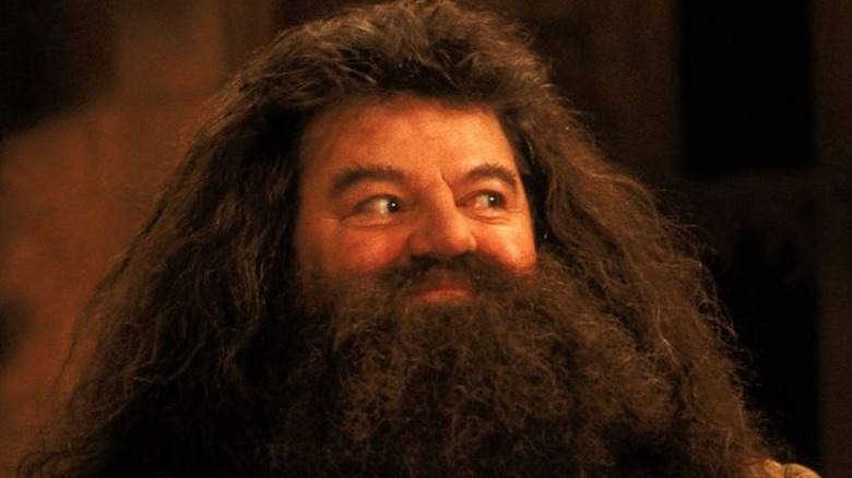 Hagrid smiles mischievously