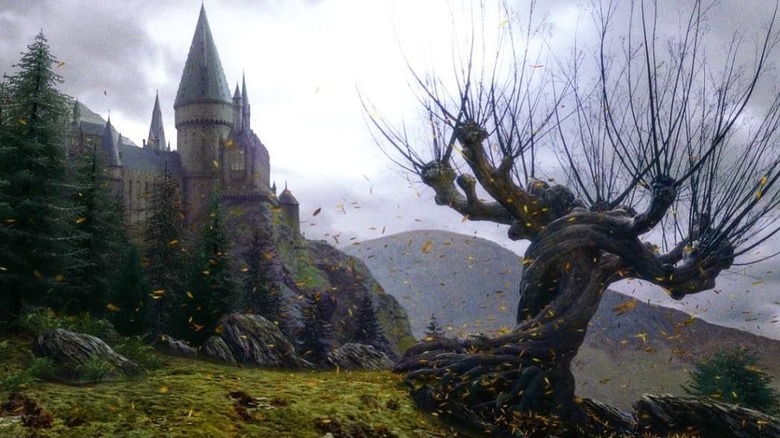 Whomping Willow outside Hogwarts