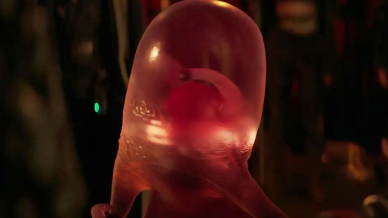 Veb looks to his right