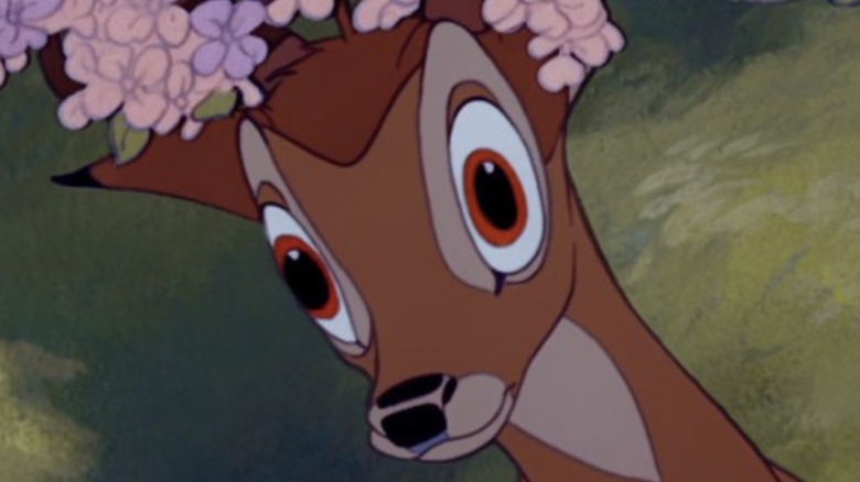 Adult Bambi looking shocked