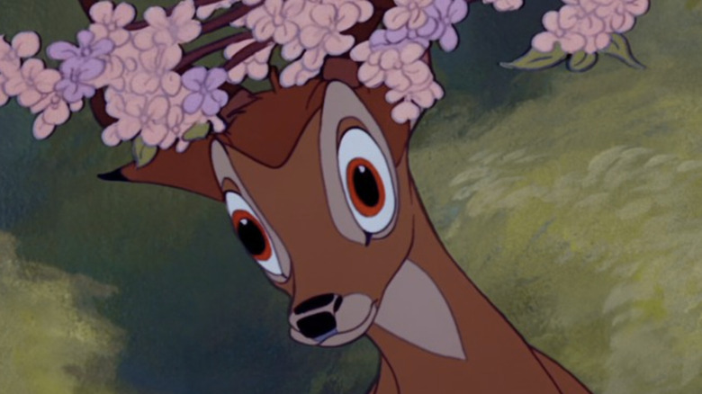 Adult Bambi looking shocked