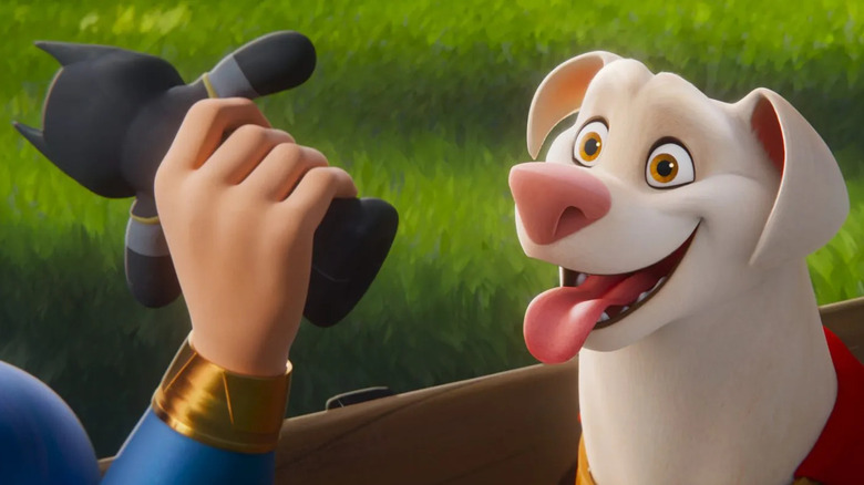 Krypto plays with Squeezy Bruce