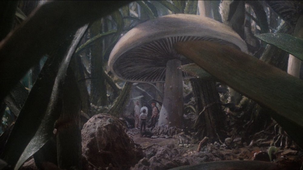 Honey, I Shrunk the Kids