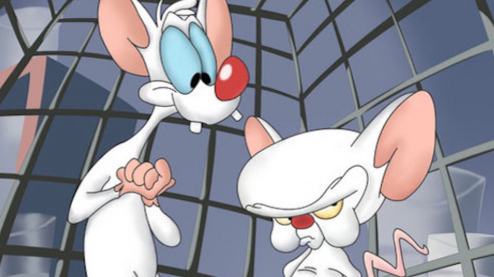 Pinky and the Brain