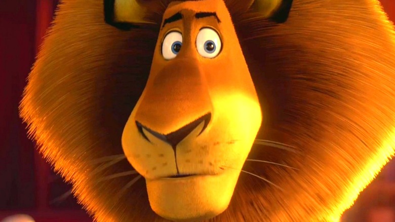 Madagascar Alex the lion in close-up