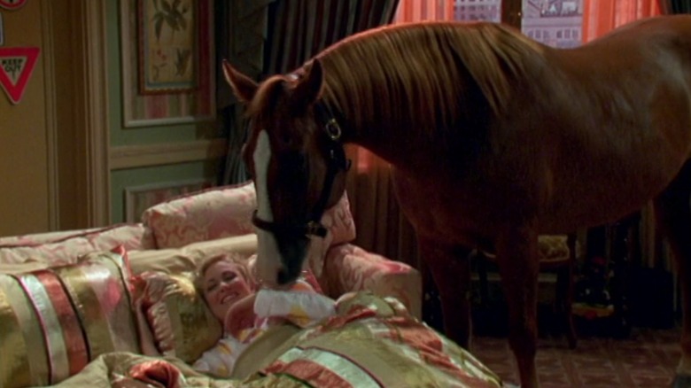 Carey and horse Tippy