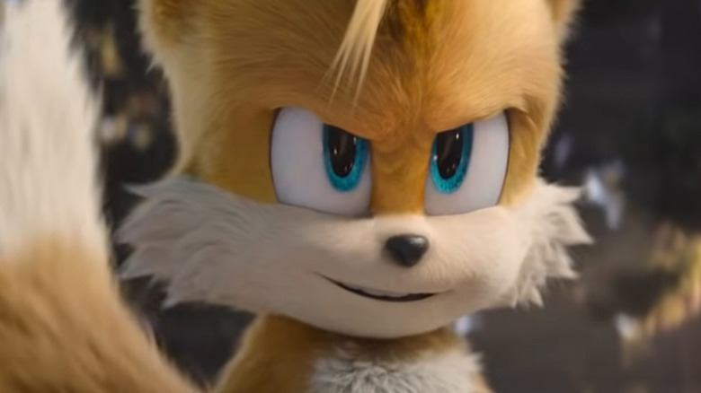 tails glaring