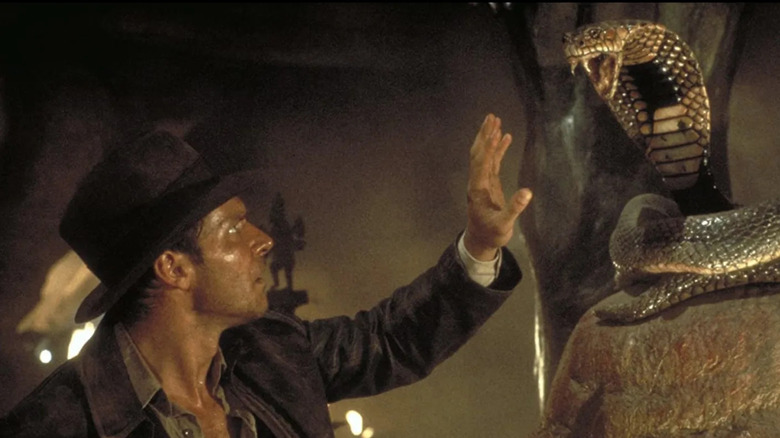 Indiana faces a stuffed cobra