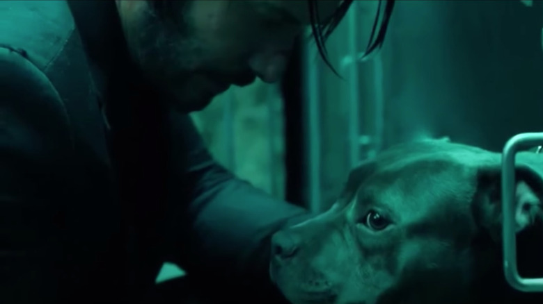John Wick rescuing dog