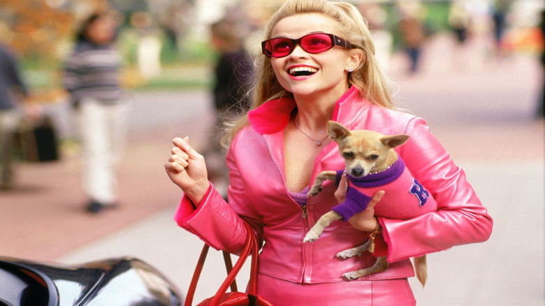 Elle Woods holding Bruiser