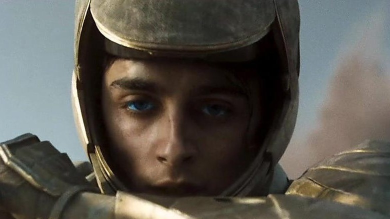 Timothee Chalamet surveys a battlefield