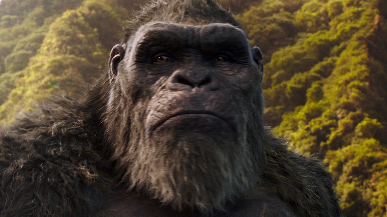 Kong in jungle