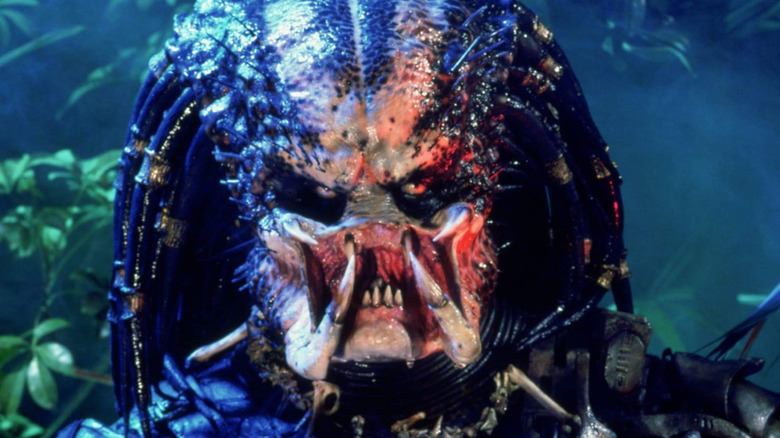 Predator unmasked