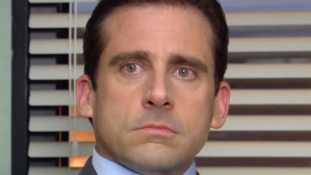 Michael Scott (Steve Carell) in The Office