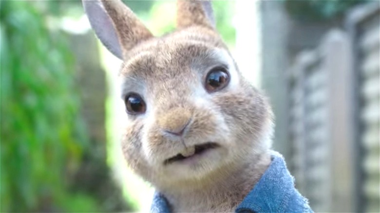 Peter Rabbit confused in Peter Rabbit 2