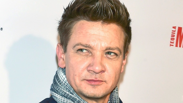 Renner poses at event 