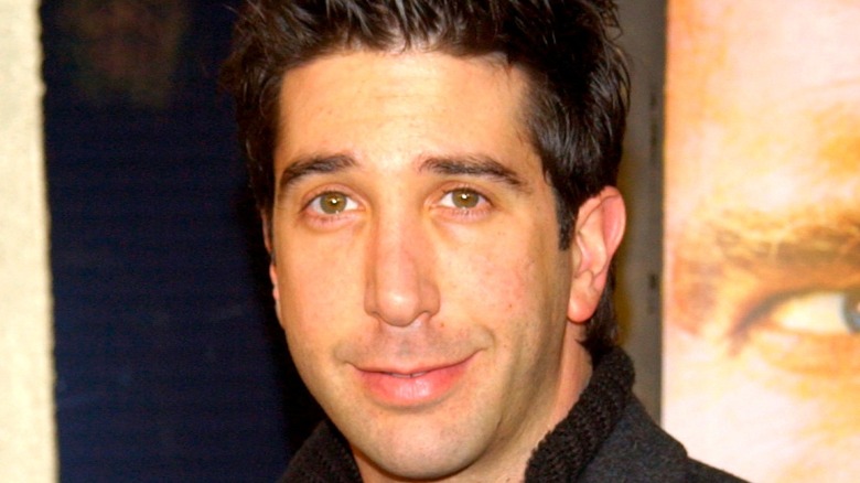 David Schwimmer smiling closeup