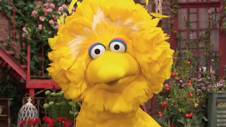 Sesame Street Big Bird Wonders