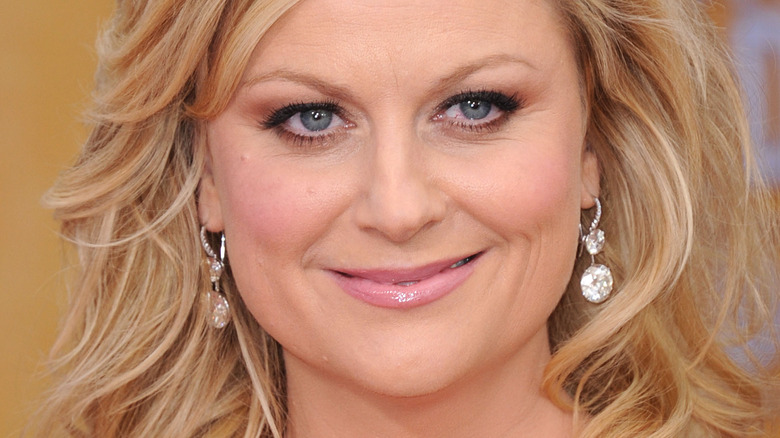 Amy Poehler