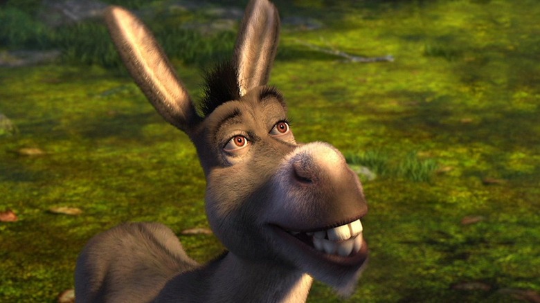 Donkey looking up