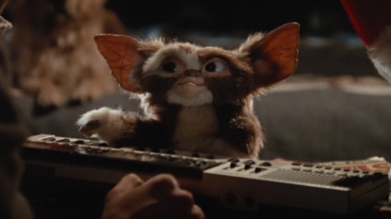 Gizmo plays keyboard