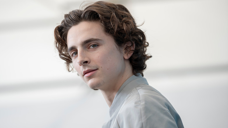 Timothee Chalamet turned to left