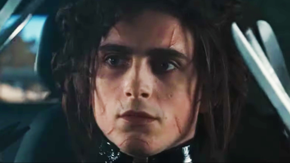 Timothée Chalamet Edgar Scissorhands Super Bowl ad