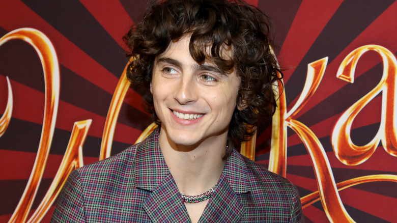 Timothée Chalamet smiles