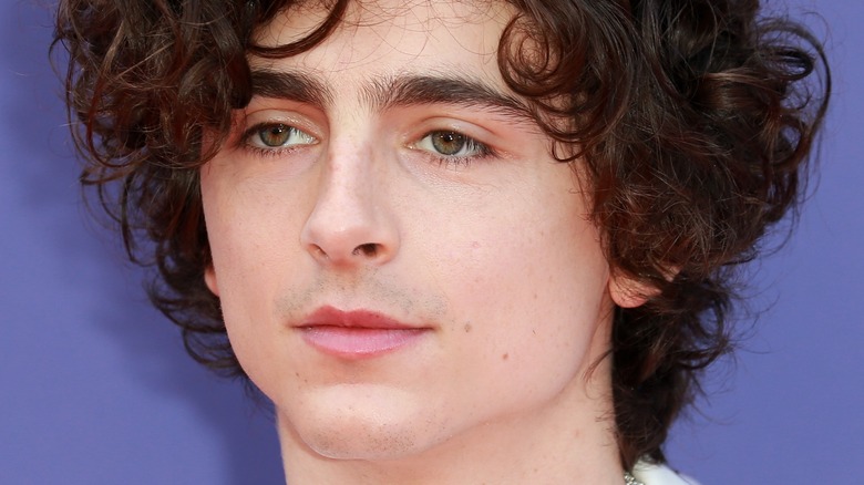 timothée chalamet posing