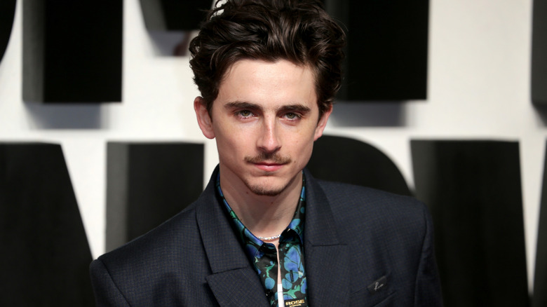 Timothee Chalamet on the red carpet