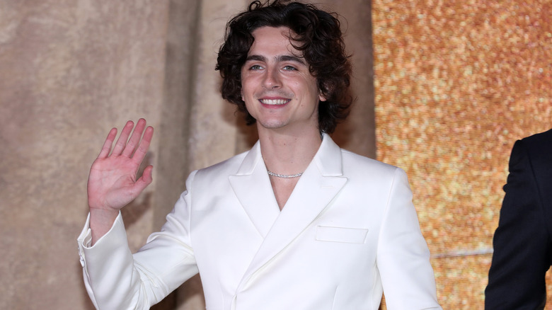 Timothee Chalamet waving