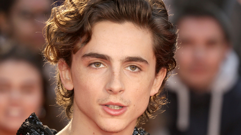 Timothee Chalamet at "The King" premiere