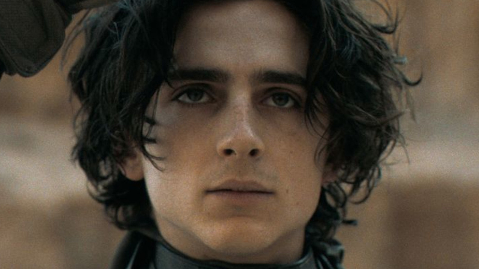 Timothee Chalamet Finally Breaks His Silence About A Dune Sequel