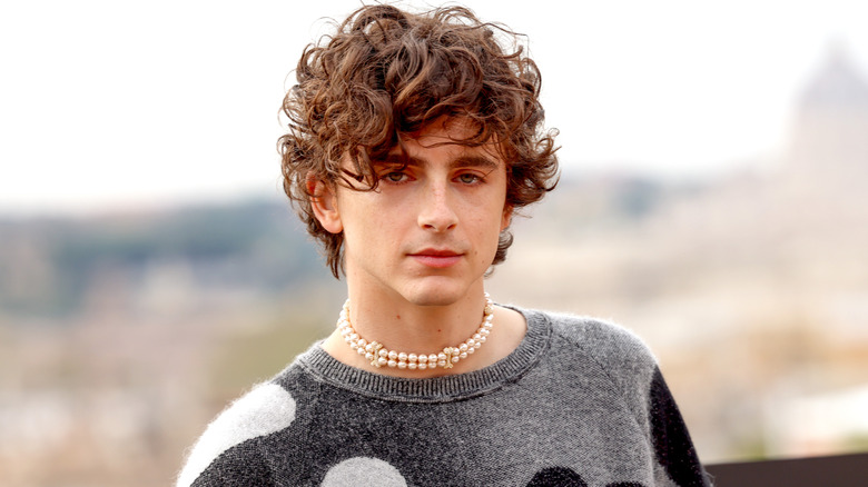 Timothée Chalamet posing at the 