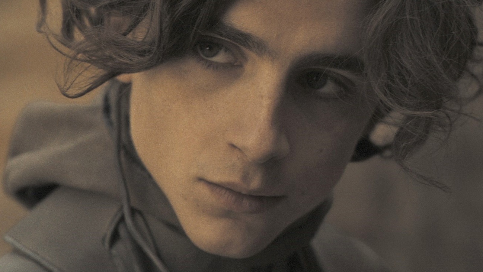 Timothee Chalamet's Best Movie And TV Roles To Date