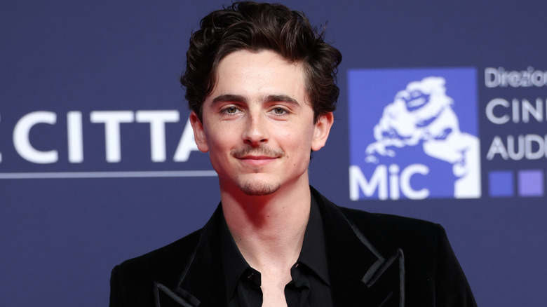 Timothée Chalamet posing on the red carpet in 2025