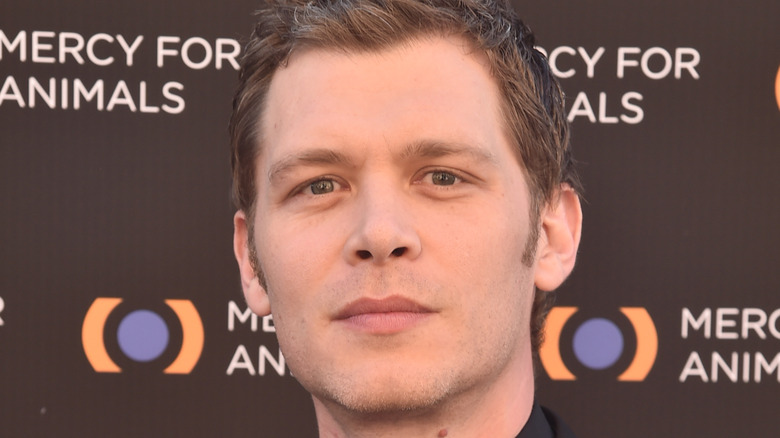 Joseph Morgan with sideburns