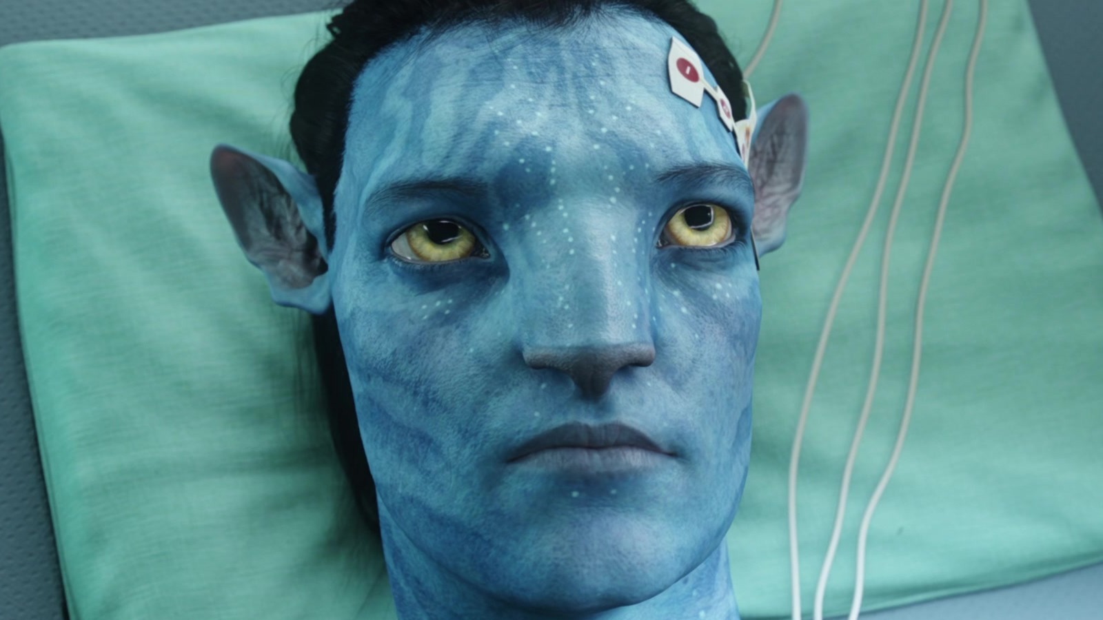 Tragic Details About The Cast Of Avatar