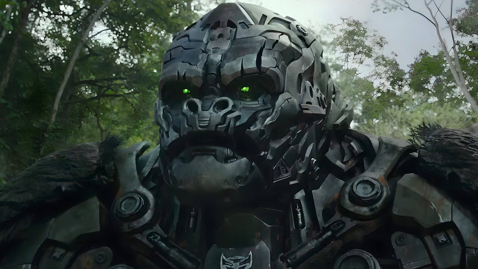 Conheça todos os Autobots e Terrorcons de Transformers: O