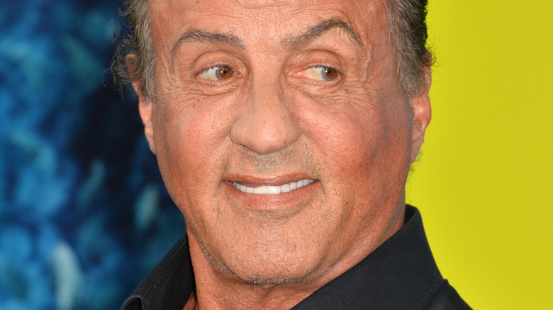 Sylvester Stallone on the red carpet