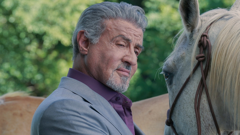 The General brushing a horse's mane