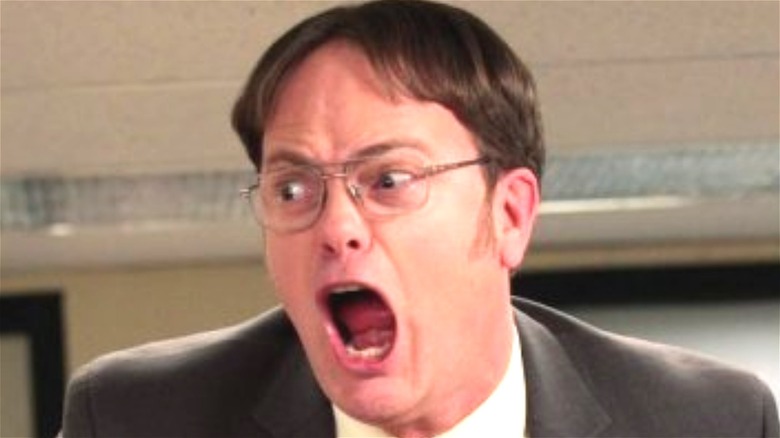 Rain Wilson as Dwight Schrute in The Office