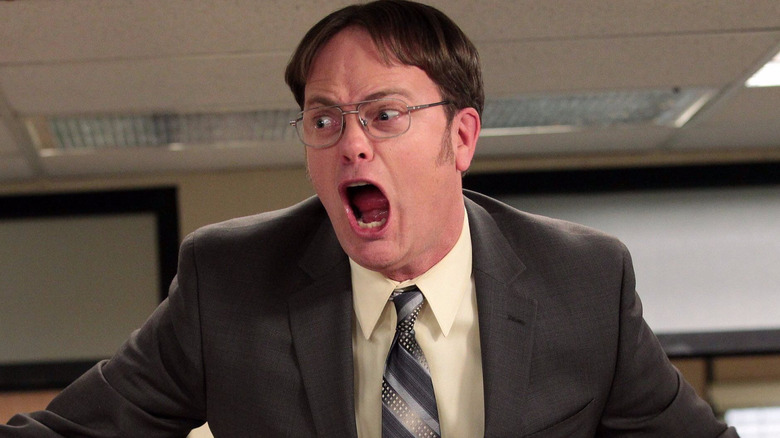 Rain Wilson as Dwight Schrute in The Office