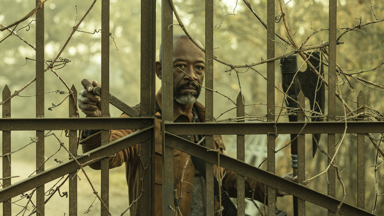 Morgan peering through a gate