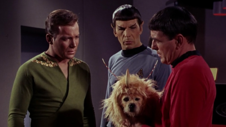 Star Trek