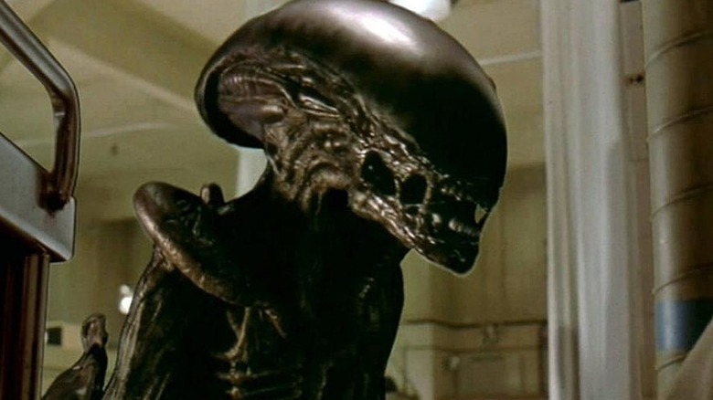 Xenomorph attacks