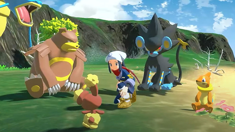 trainer in the wild