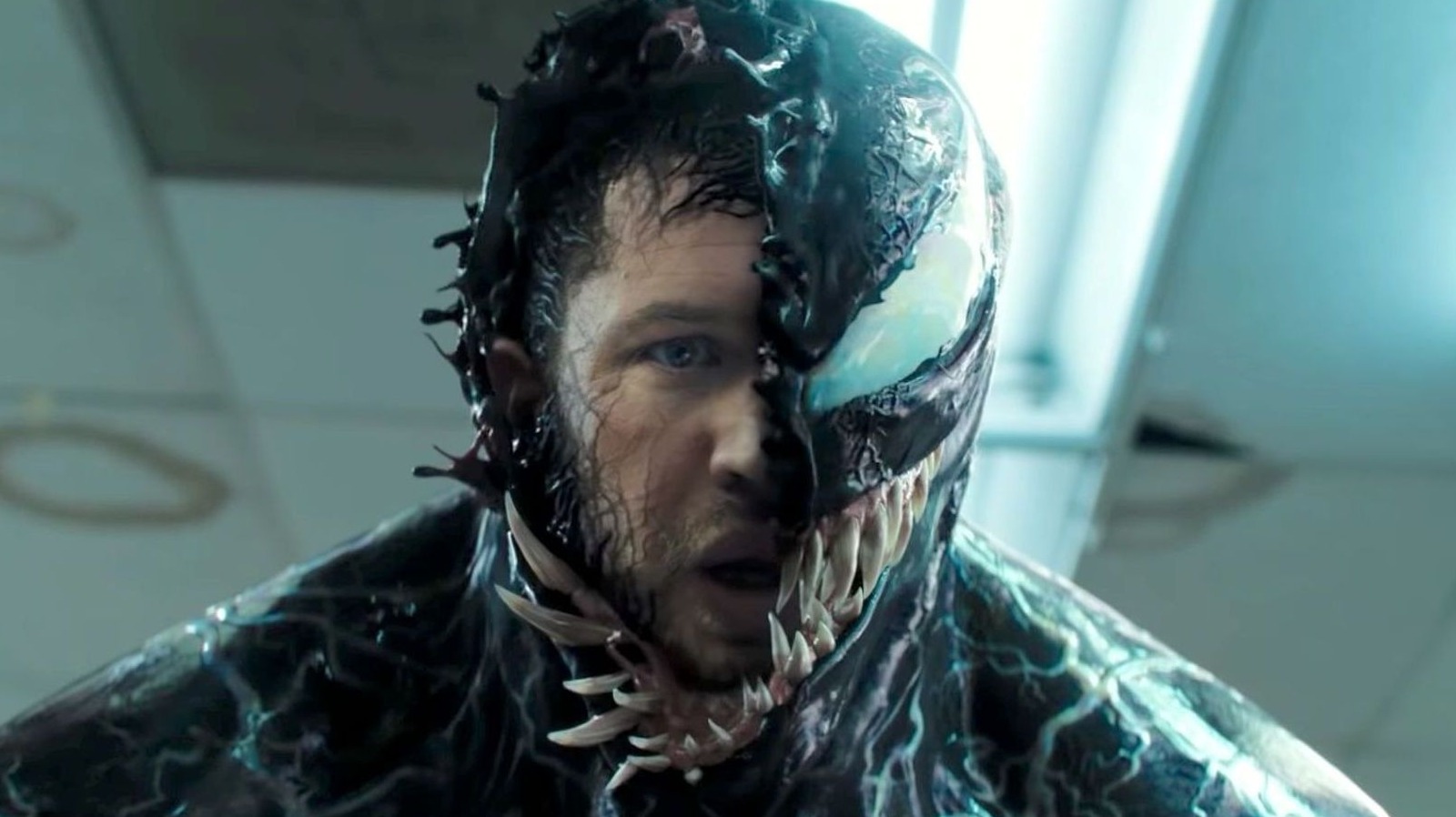 Venom 3 What We Know So Far