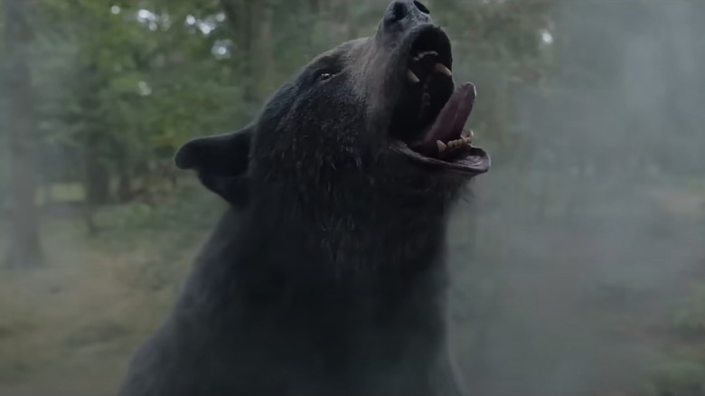 Cocaine Bear roaring