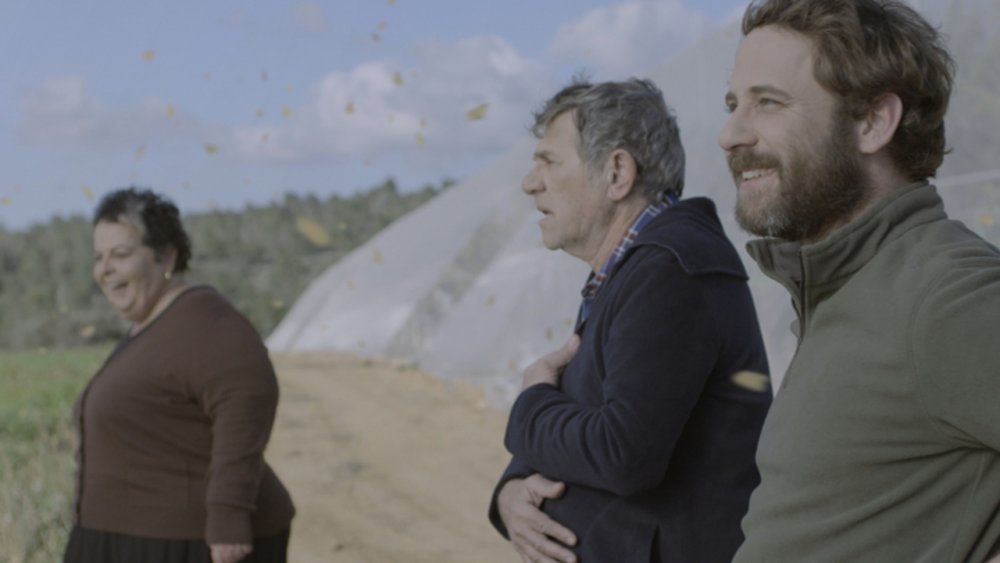 Butterflies short film
